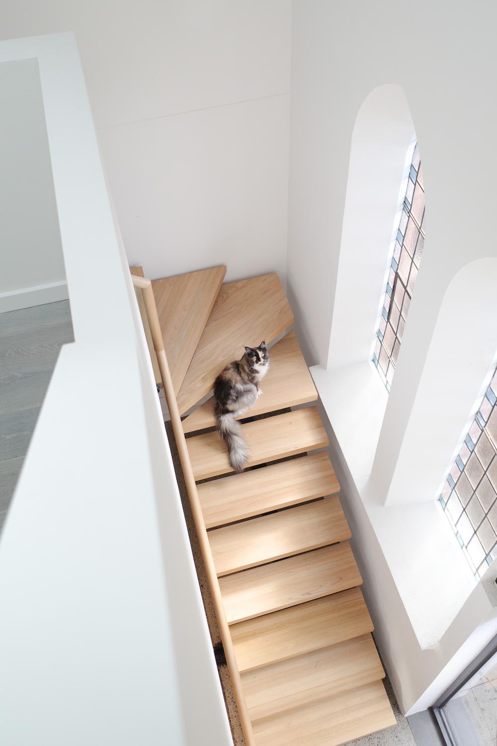 amelia valletta interior designer animali da compagnia