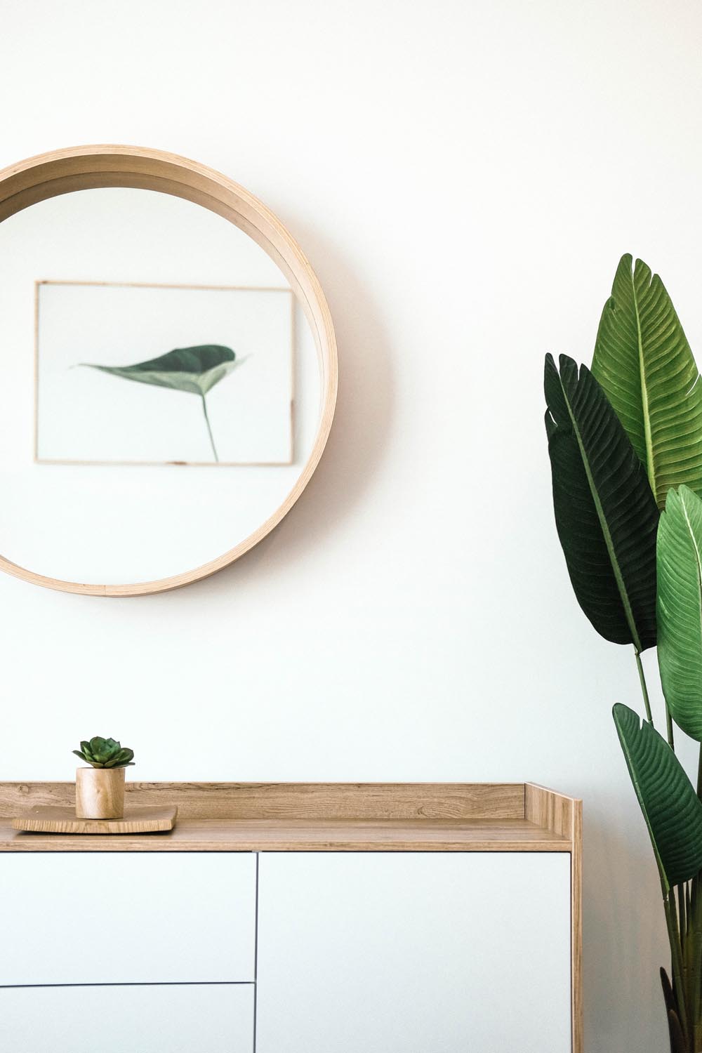amelia valletta interior designer arredi interni animali