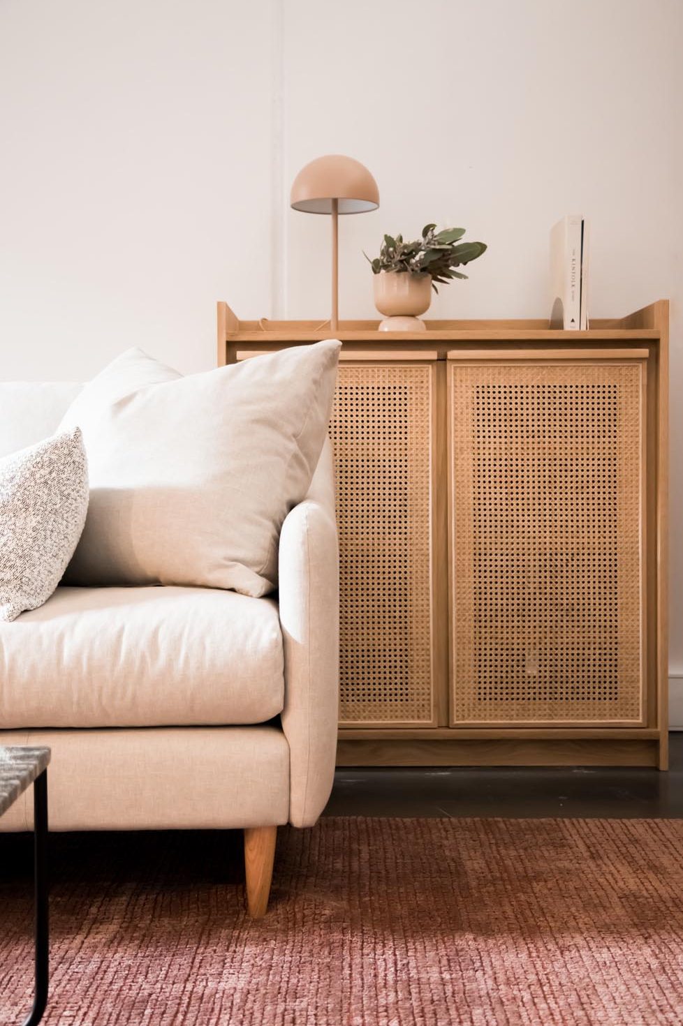 amelia valletta interior designer pet