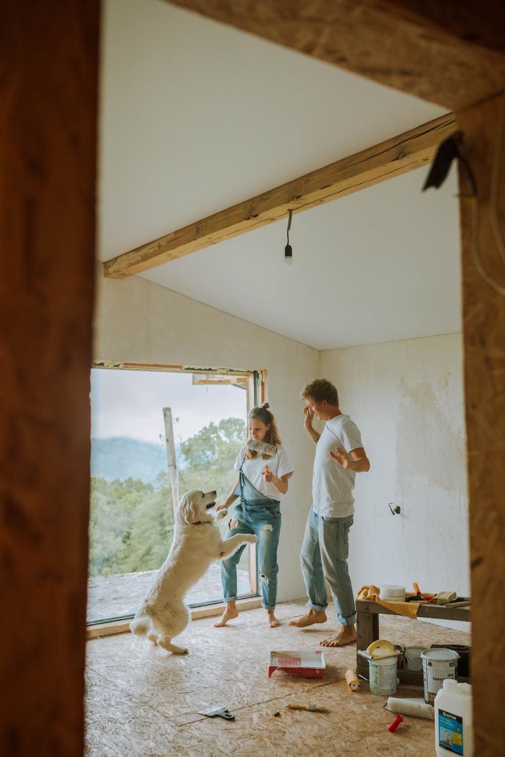 amelia valletta ristrutturazione casa con animali da compagnia